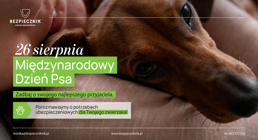 26 sierpnia 2026 Międzynarodowy Dzień Psa